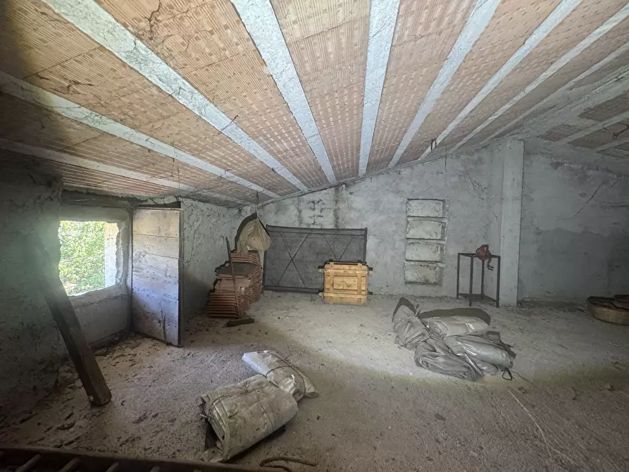Immagine 14 di Casa indipendente in vendita  in torricchio a Tornareccio