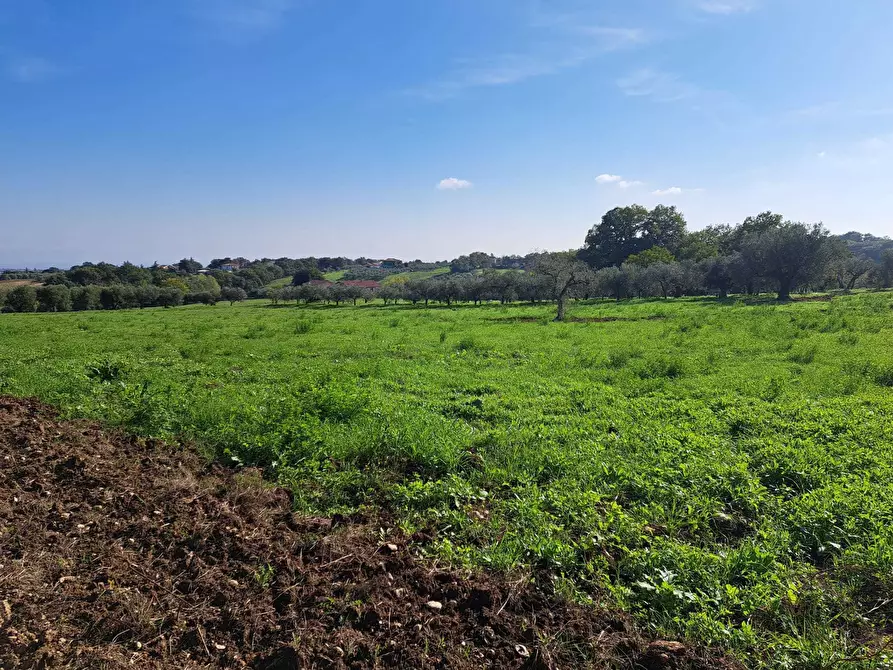 Immagine 3 di Terreno edificabile in vendita  in Via Follani 107 a Lanciano