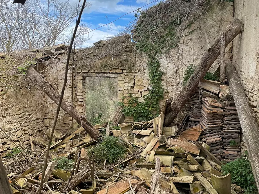 Immagine 56 di Rustico / casale in vendita  in C.DA CASTELLANA a Treglio