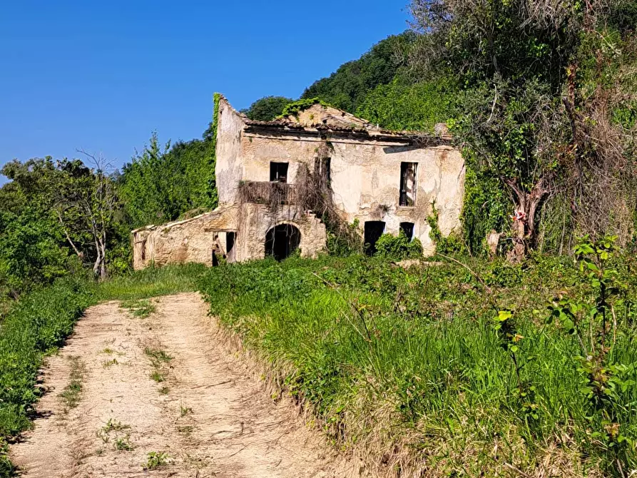 Immagine 1 di Rustico / casale in vendita  in C.DA CASTELLANA a Treglio