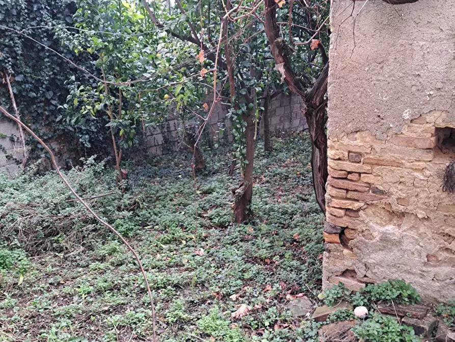 Immagine 19 di Terratetto in vendita  in Vico Municipio 1 a Santa Maria Imbaro