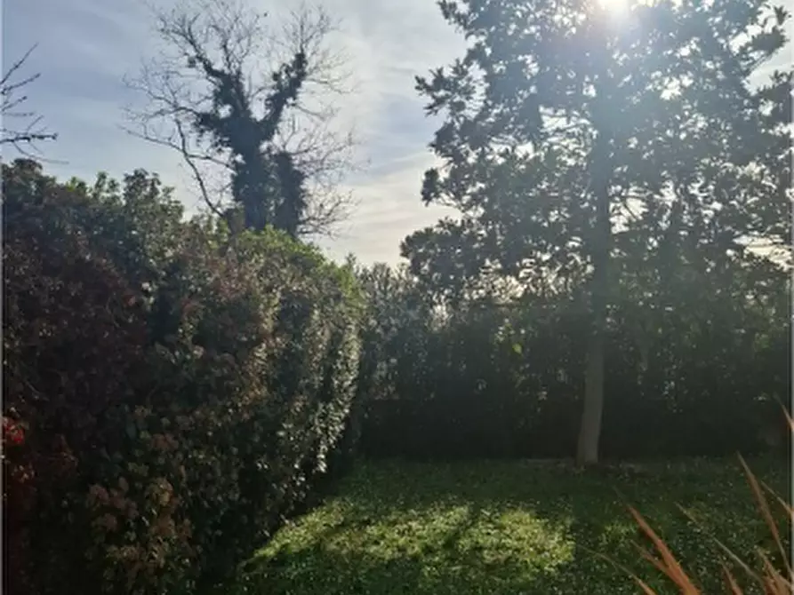 Immagine 9 di Villa in vendita  a Lanciano