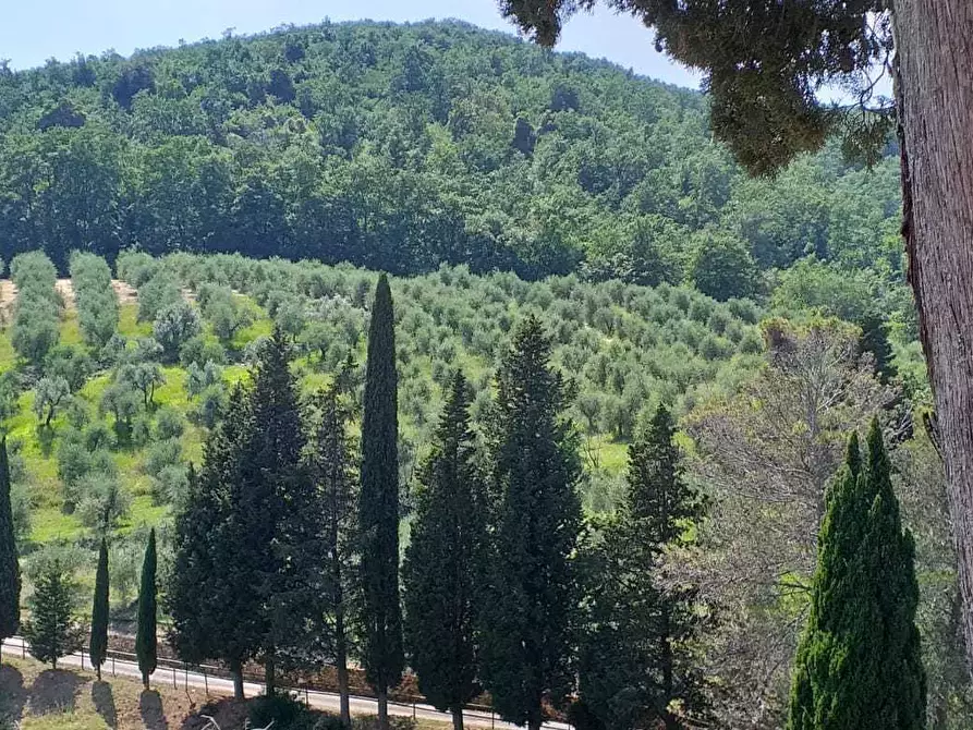 Immagine 5 di Villa in vendita  in via san giusto a Livorno