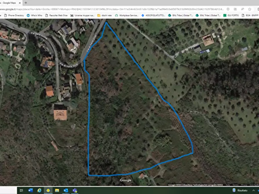 Immagine 7 di Terreno agricolo in vendita  in Via delle Grotte 1521 a Morlupo