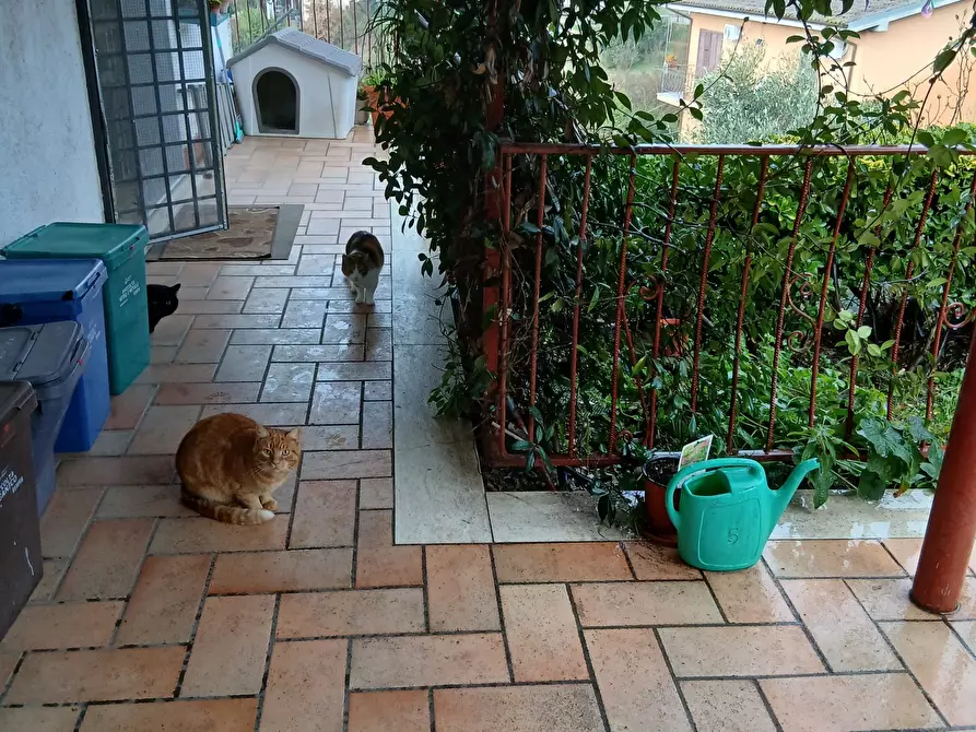 Immagine 66 di Casa indipendente in vendita  in Via Paolo Borsellino 66 a Morlupo