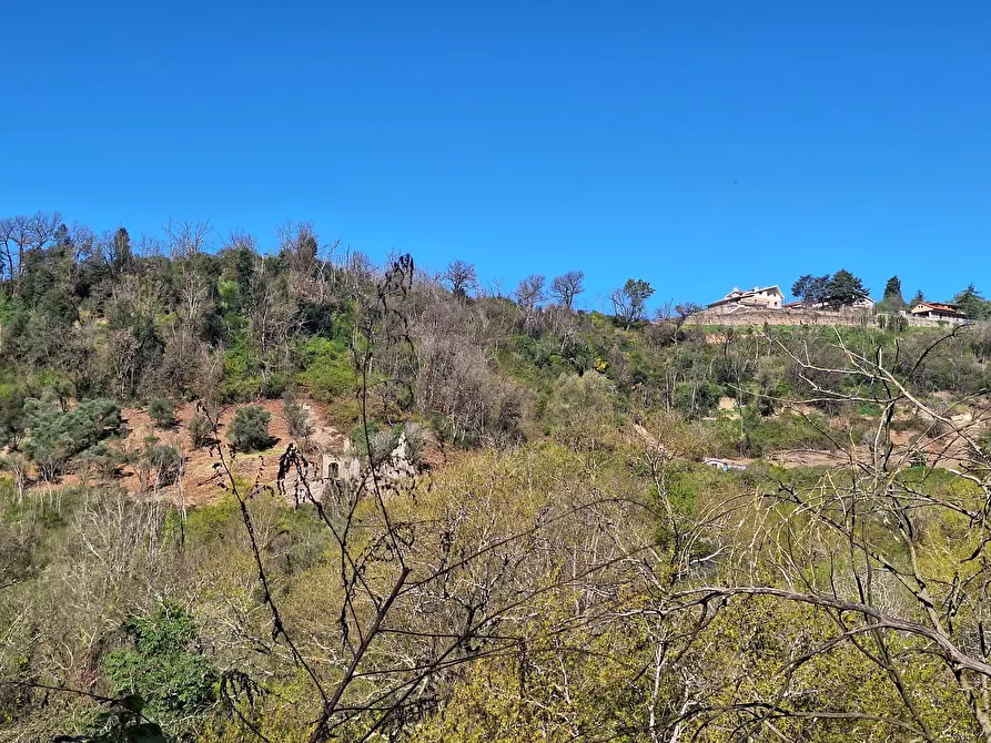 Immagine 22 di Terreno agricolo in vendita  in Via delle Grotte 1521 a Morlupo