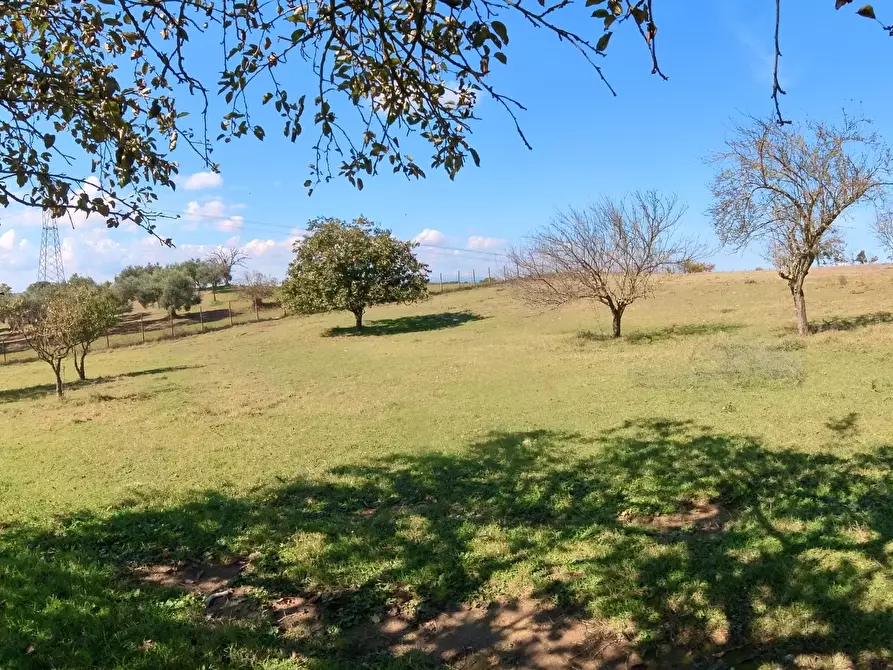 Immagine 25 di Villa in vendita  in Strada Comunale Campo Maggiore 10 a Rignano Flaminio