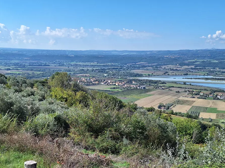 Immagine 61 di Rustico / casale in vendita  in Vocabolo Pupiglian 1 a Guardea
