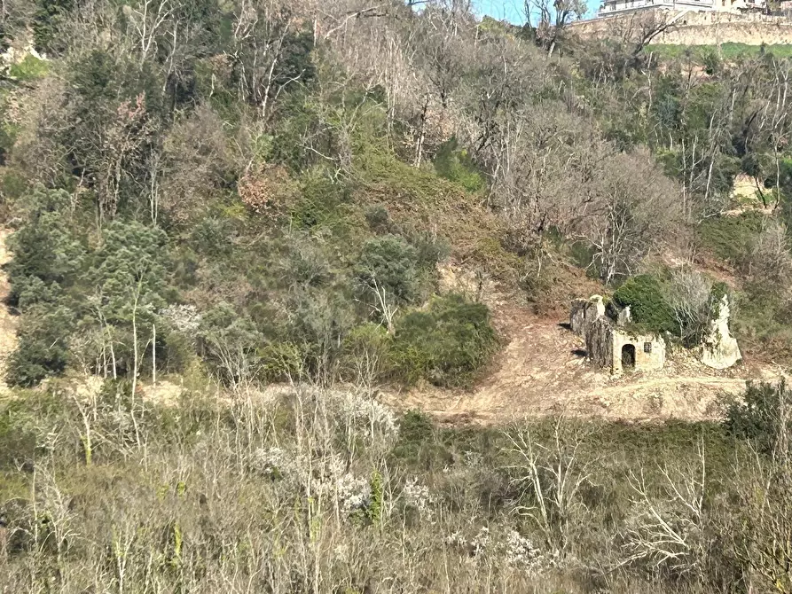 Immagine 19 di Terreno agricolo in vendita  in Via delle Grotte 1521 a Morlupo