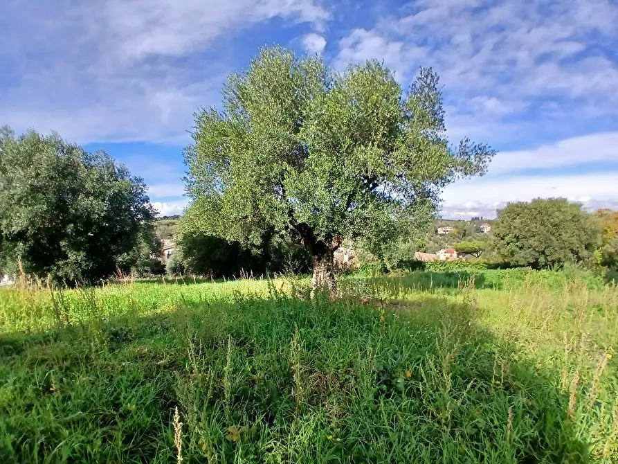 Immagine 10 di Terreno edificabile in vendita  in Via Enzo Ferrari 5 a Morlupo