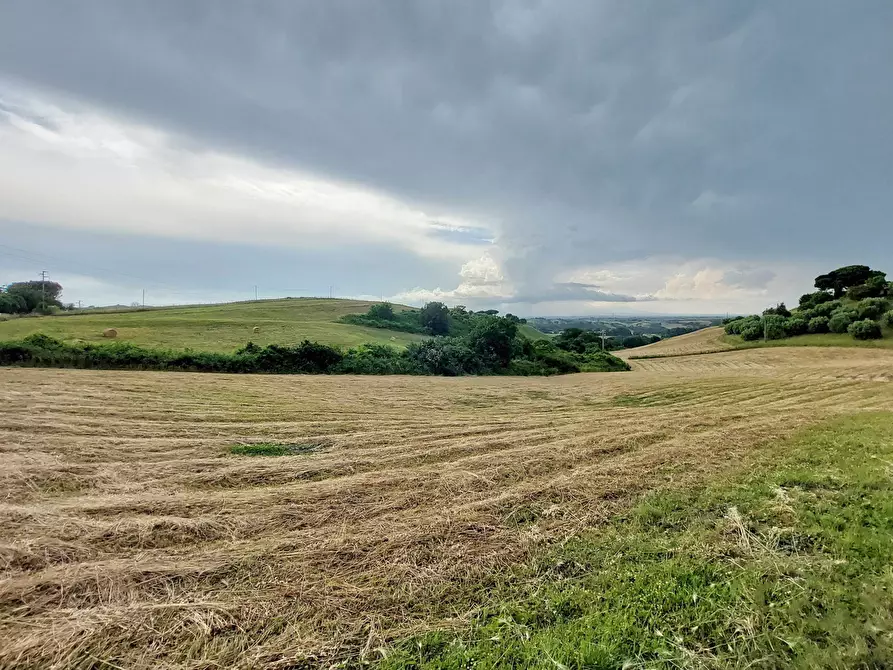 Immagine 119 di Rustico / casale in vendita  in Via Campagnanese 874 a Morlupo