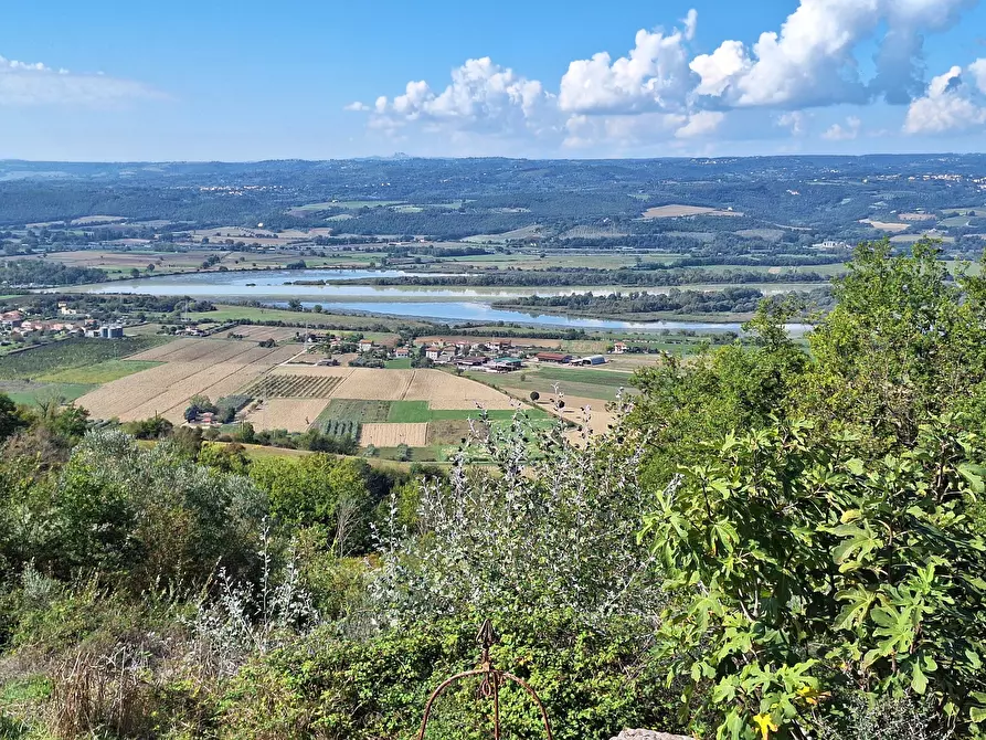 Immagine 60 di Rustico / casale in vendita  in Vocabolo Pupiglian 1 a Guardea