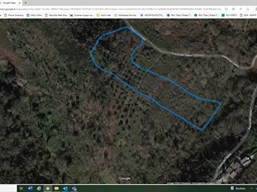 Immagine 18 di Palazzo in vendita  in via delle grotte a Morlupo