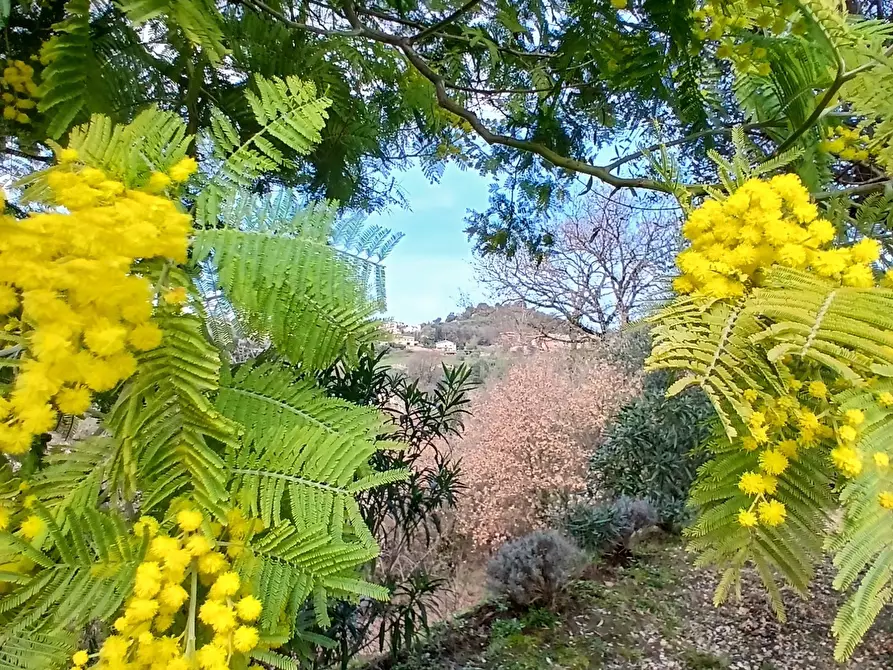 Immagine 65 di Villa in vendita  in Via Monte la Pera 22 a Castelnuovo Di Porto