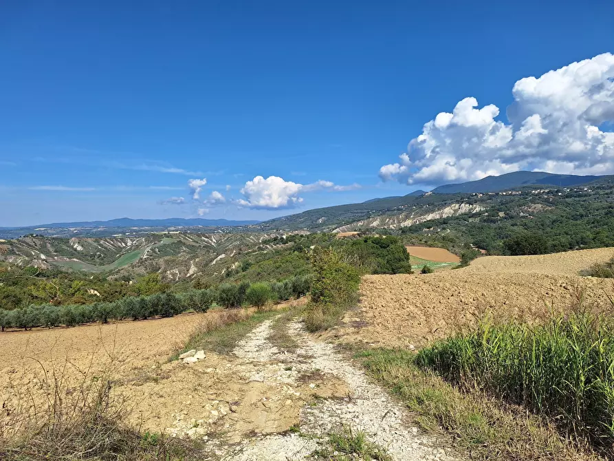 Immagine 79 di Rustico / casale in vendita  in Vocabolo Pupiglian 1 a Guardea