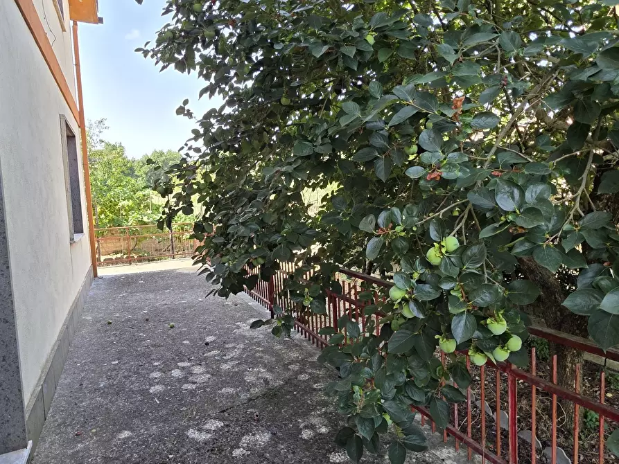 Immagine 19 di Casa bifamiliare in vendita  in Via Giovanni Pascoli 18 a Rignano Flaminio