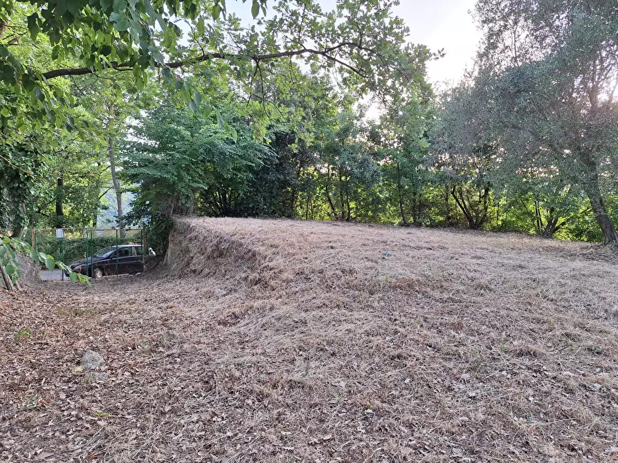 Immagine 5 di Terreno agricolo in vendita  in Via Mossa Dei Barberi 61 a Morlupo