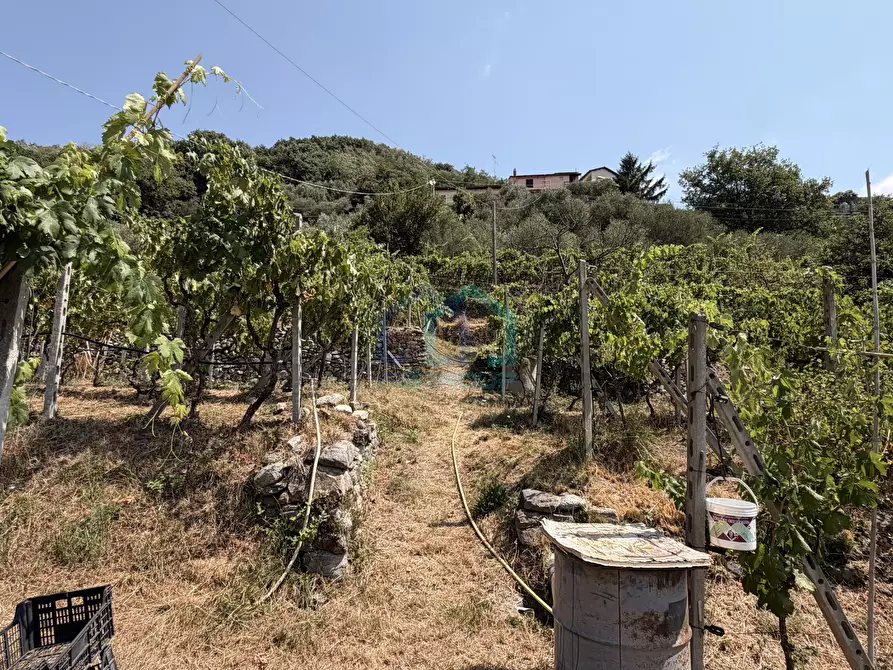 Immagine 13 di Villa in vendita  in Via Tecci 16 a Quiliano