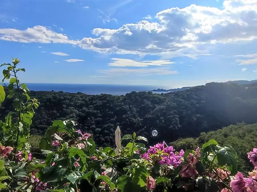 Immagine 25 di Bilocale in affitto  a Chiavari
