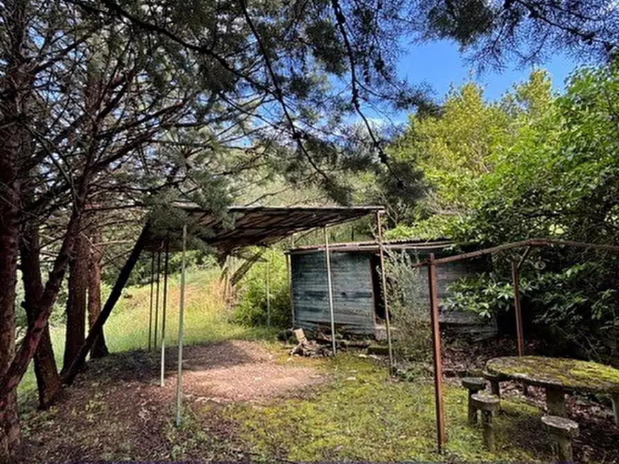 Immagine 2 di Terreno industriale in vendita  in Via degli Imberta a Londa