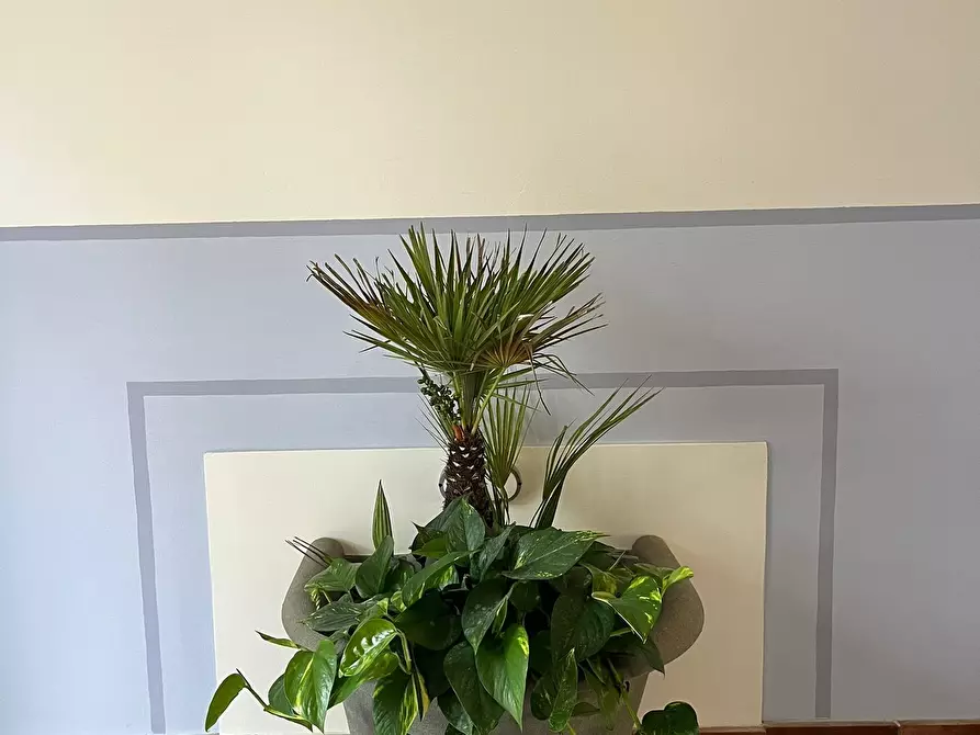 Immagine 26 di Trilocale in vendita  in Via di Mugnana a Greve In Chianti