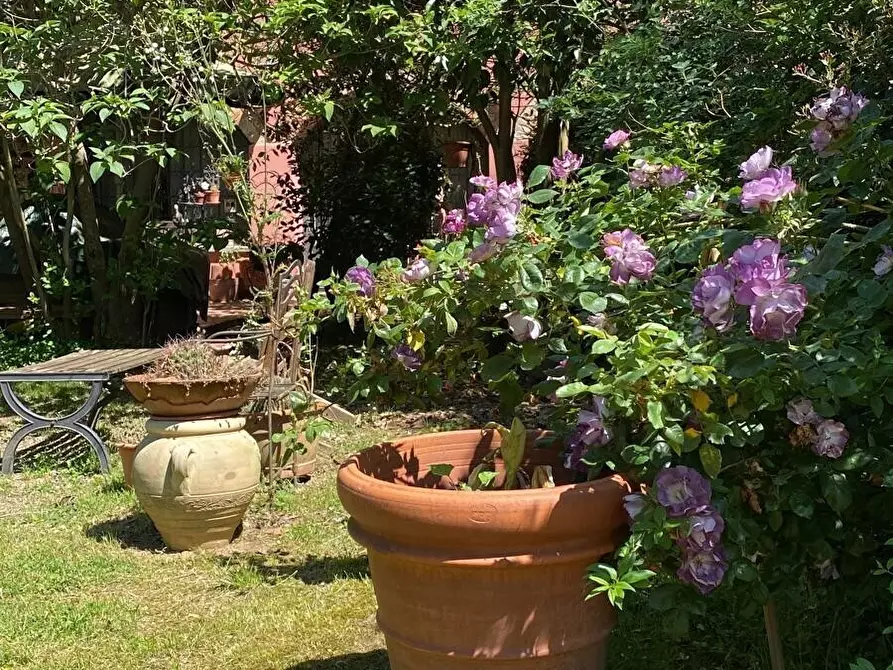 Immagine 37 di Terratetto in vendita  in Via di Carcheri a Lastra A Signa