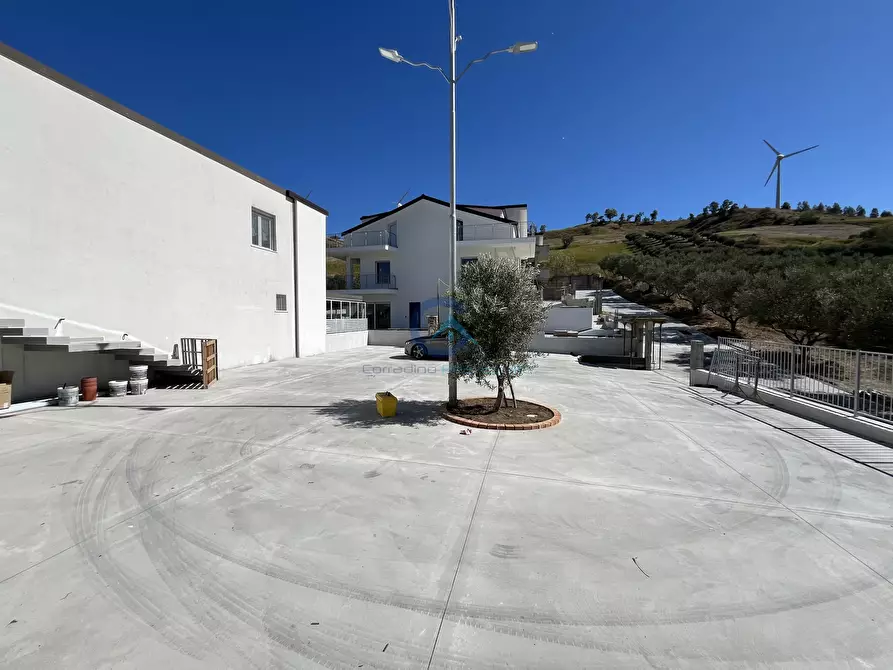 Immagine 14 di Mansarda in affitto  in Viale Tagliamento 117 a Catanzaro