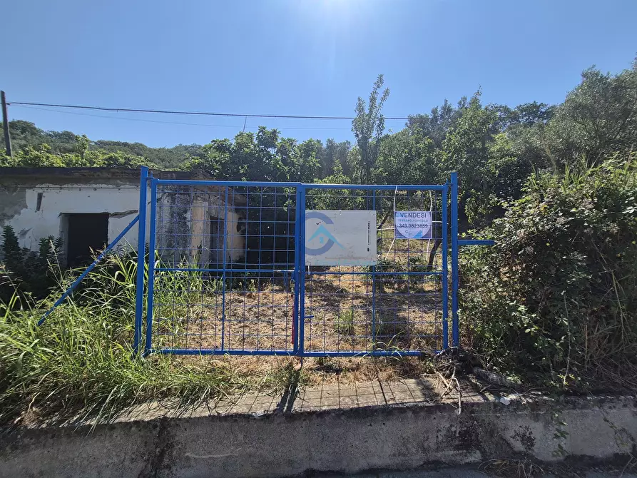 Immagine 4 di Terreno agricolo in vendita  a Caraffa Di Catanzaro