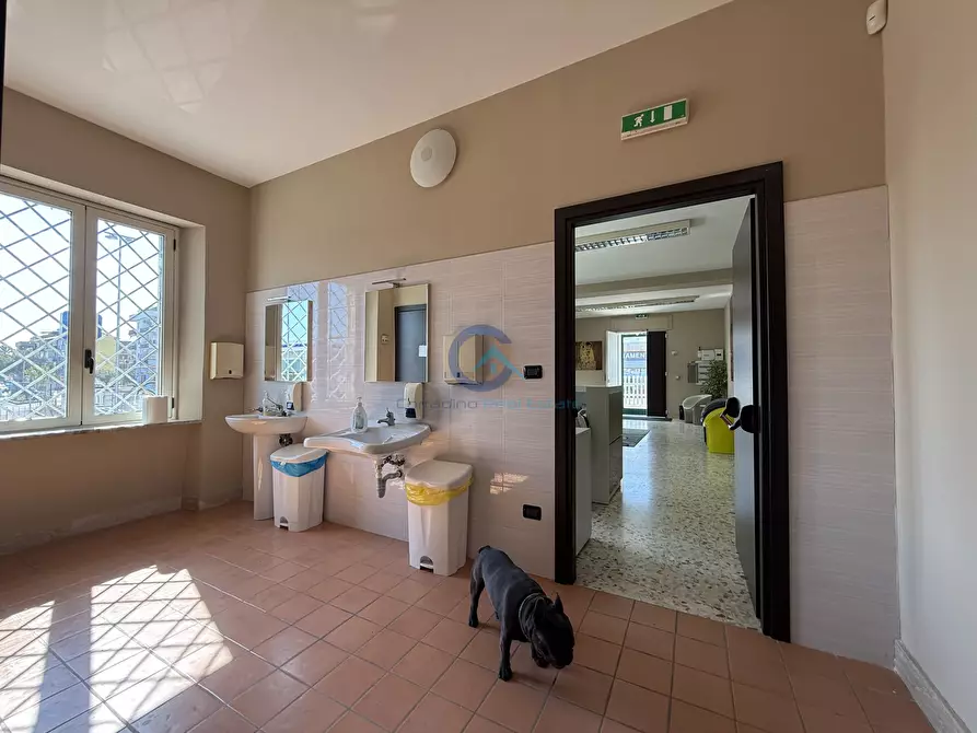 Immagine 7 di Palazzo in vendita  in Viale Magna Grecia 247 a Catanzaro