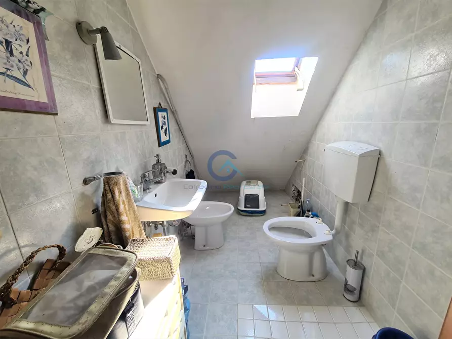 Immagine 10 di Quadrilocale in affitto  a Catanzaro