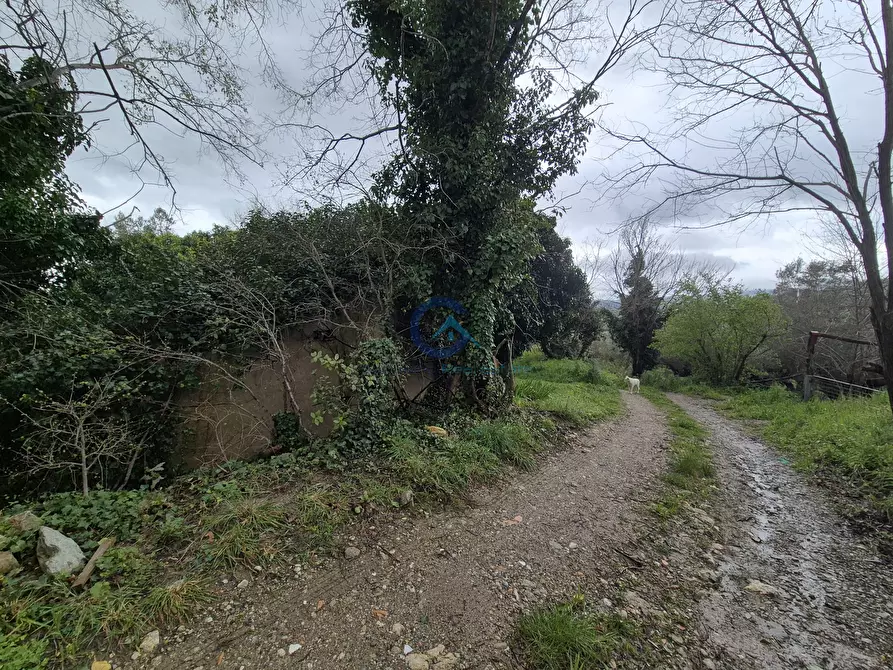 Immagine 7 di Magazzino in vendita  in CONTRADA CERASIA a Borgia