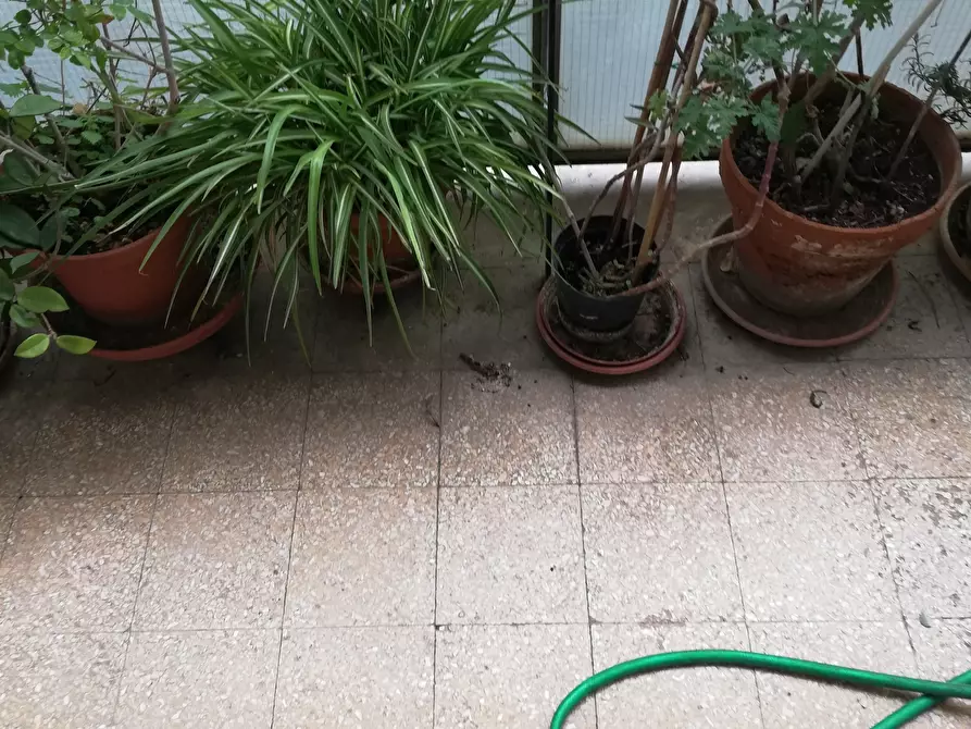 Immagine 27 di Bilocale in affitto  in Via Pietro Mascagni 186 a Roma