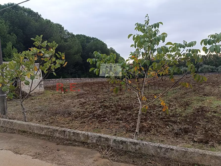 Immagine 6 di Stanza singola in vendita  in strada Cupina a Martina Franca