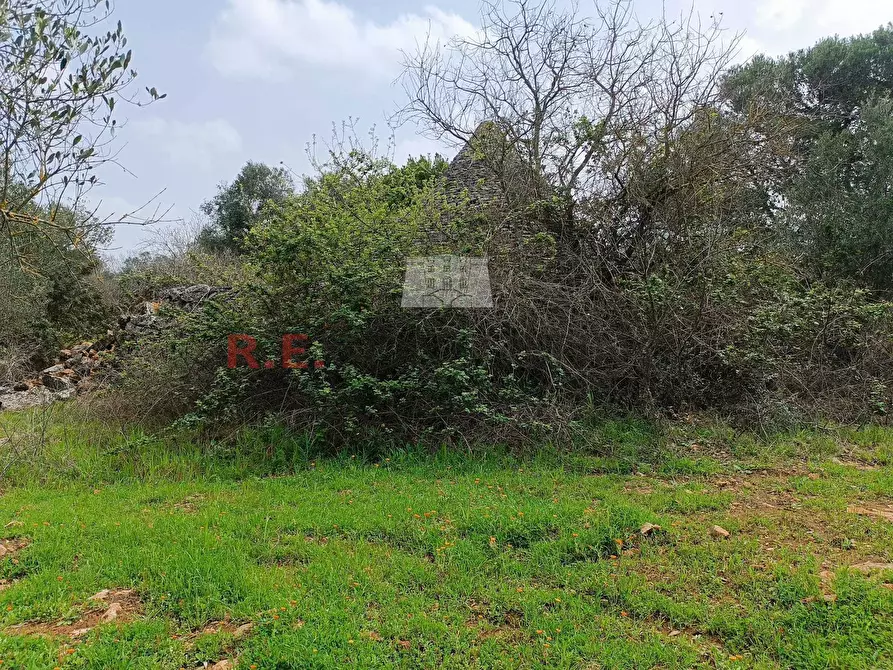 Immagine 4 di Baita in vendita  in strada provinciale 23 a Martina Franca