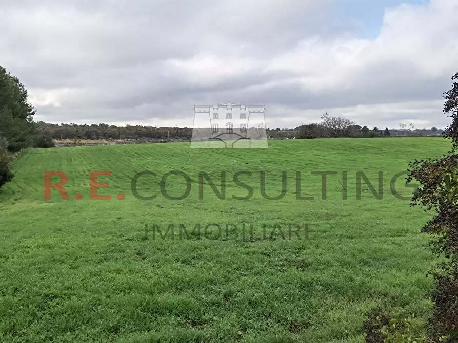 Immagine 10 di Baita in vendita  in Via Alberobello 137 a Martina Franca