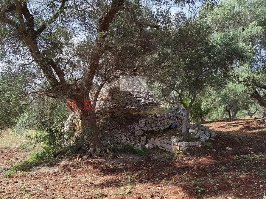 Immagine 5 di Baita in vendita  a Ceglie Messapico