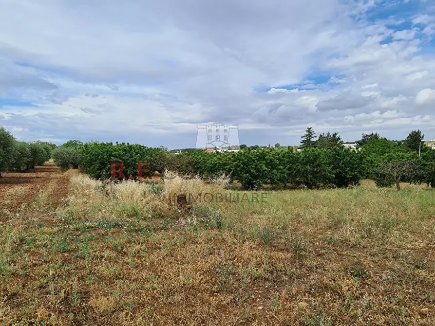 Immagine 18 di Baita in vendita  in Via ospedale a Martina Franca