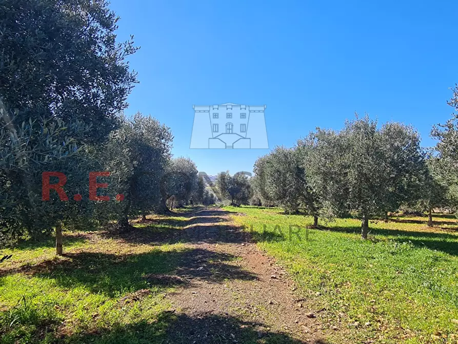 Immagine 38 di Baita in vendita  in Contrada Montemichele 14 a Ostuni