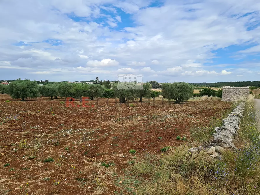 Immagine 11 di Baita in vendita  in Via ospedale a Martina Franca