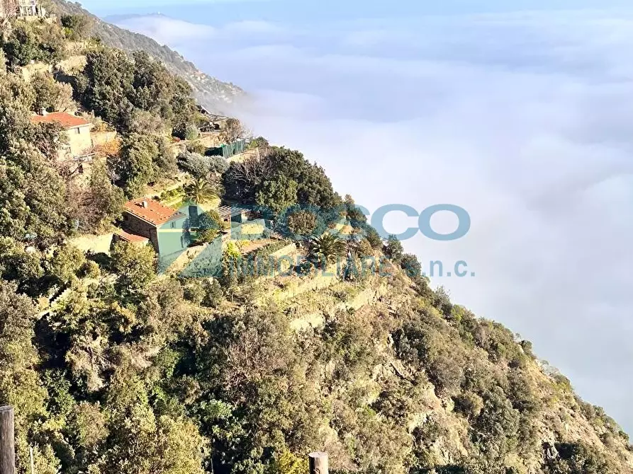 Immagine 6 di Rustico / casale in vendita  in Via Tramonti a La Spezia