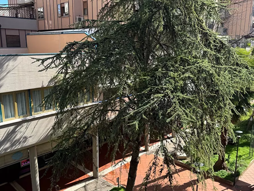 Immagine 7 di Ufficio in affitto  a Pescara