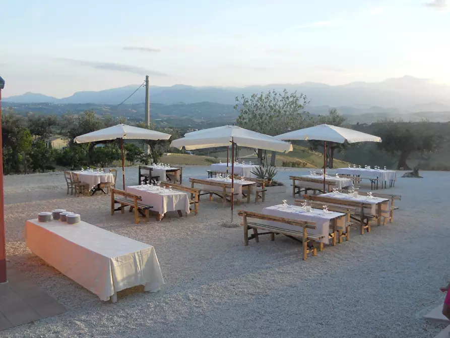 Immagine 10 di Azienda agricola in affitto  a Città Sant'angelo