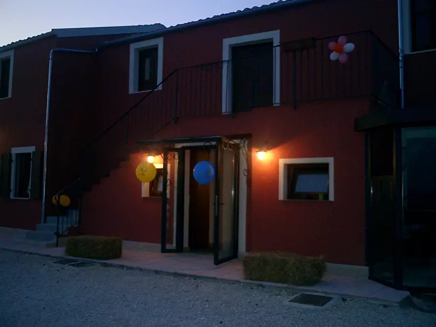 Immagine 8 di Azienda agricola in affitto  a Città Sant'angelo