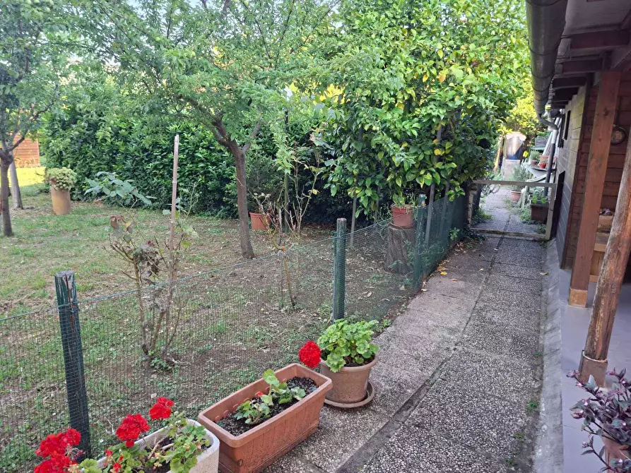 Immagine 15 di Terratetto in vendita  a San Giuliano Terme