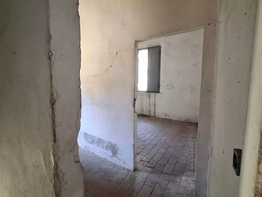 Immagine 21 di Casa indipendente in vendita  a Vicopisano