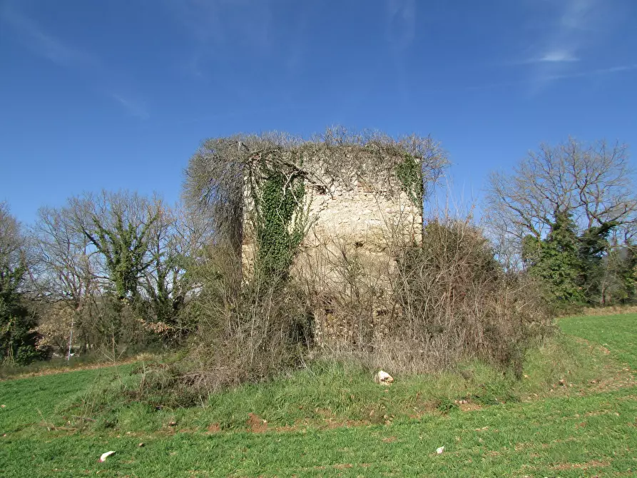 Immagine 1 di Rustico / casale in vendita  a Massa Martana