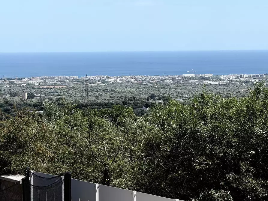 Immagine 39 di Villa in vendita  in Contrada Peroscia 56 a Monopoli