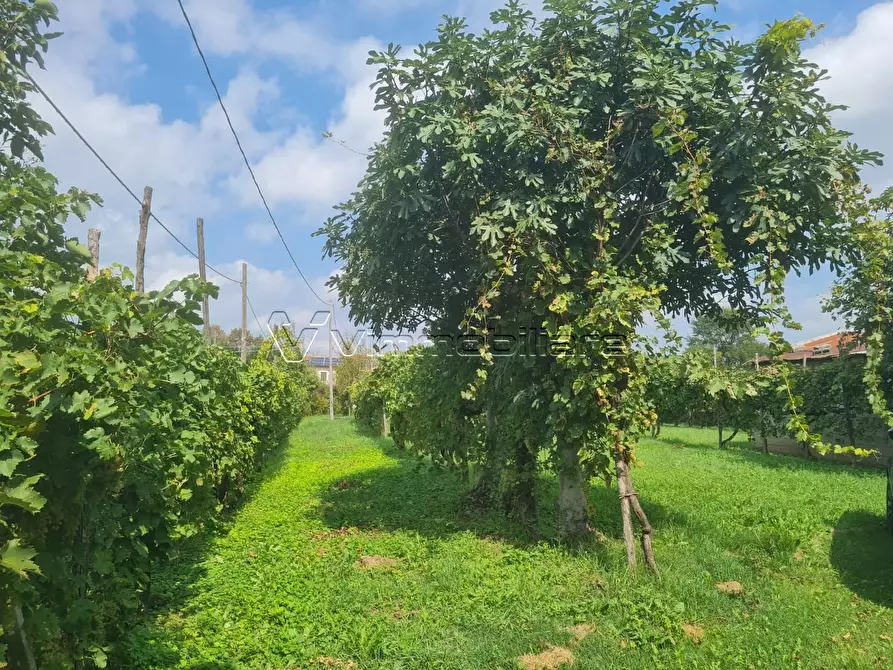 Immagine 14 di Casa trifamiliare in vendita  in Via Strada Pozzetto 20 a Albettone