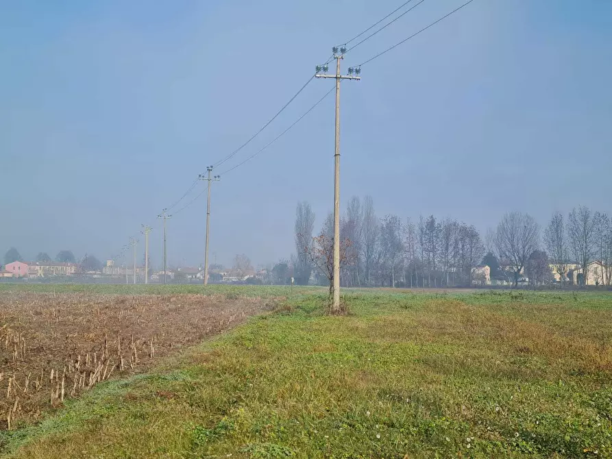 Immagine 7 di Terreno agricolo in vendita  in via saline a Noventa Vicentina