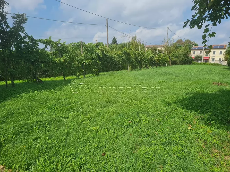 Immagine 12 di Casa trifamiliare in vendita  in Via Strada Pozzetto 20 a Albettone
